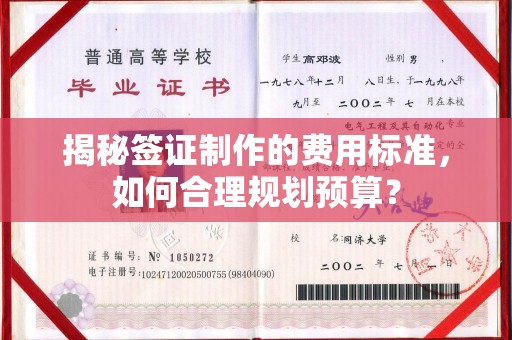 新蔡揭秘签证制作的费用标准，如何合理规划预算？