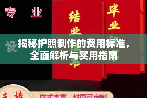 新蔡揭秘护照制作的费用标准，全面解析与实用指南