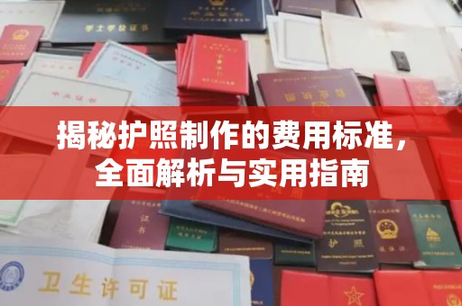 新蔡揭秘护照制作的费用标准，全面解析与实用指南