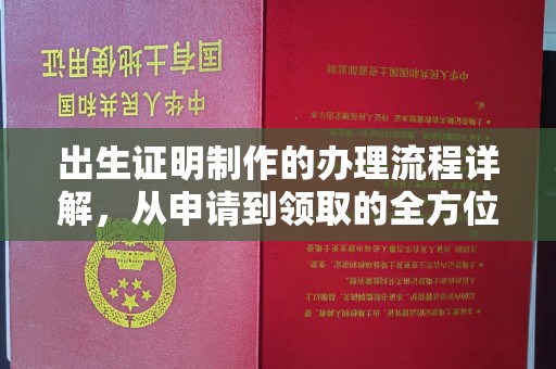 新蔡出生证明制作的办理流程详解，从申请到领取的全方位指南