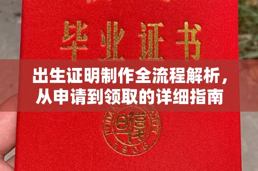 新蔡出生证明制作全流程解析，从申请到领取的详细指南